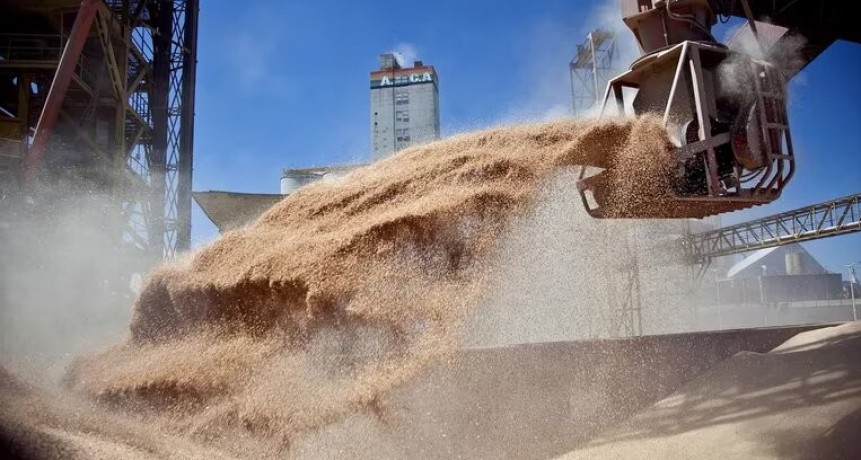 Alerta soja: el complejo aceitero frenar&iacute;a su actividad a mediados de a&ntilde;o por efecto de la sequ&iacute;a