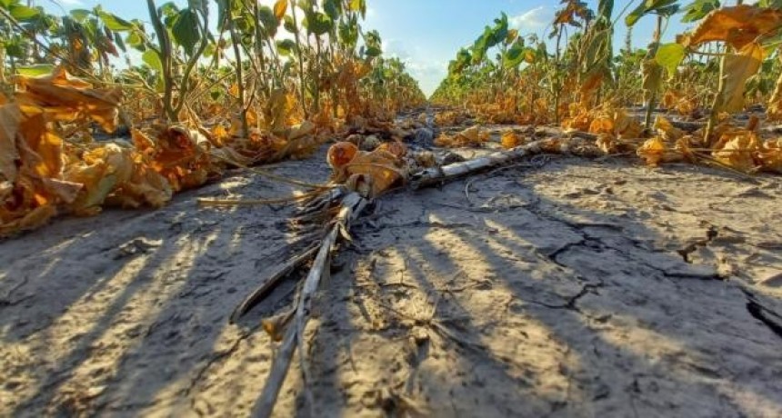 M&aacute;s de 10 mil productores santafesinos gestionaron la ayuda por sequ&iacute;a