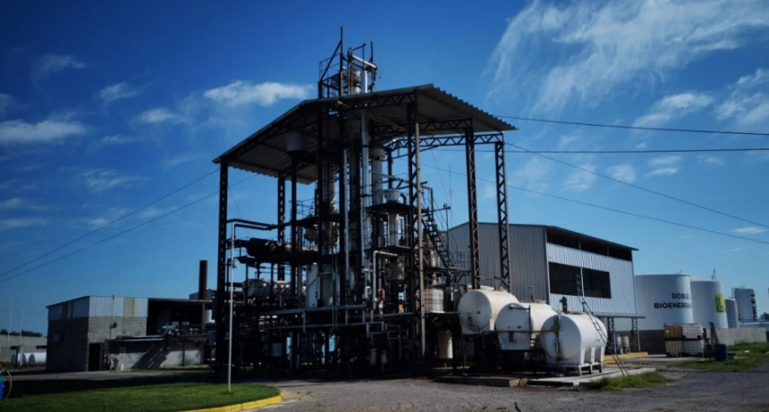 Biodi&eacute;sel: mientras Brasil sube el corte al 12 %, en la Argentina no hay precio
