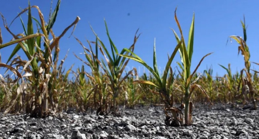 El des&aacute;nimo impactar&aacute; en las inversiones del agro 