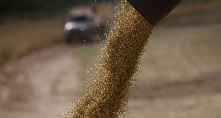 El desdoblamiento cambiario llega a una Argentina que importar&aacute; m&aacute;s soja