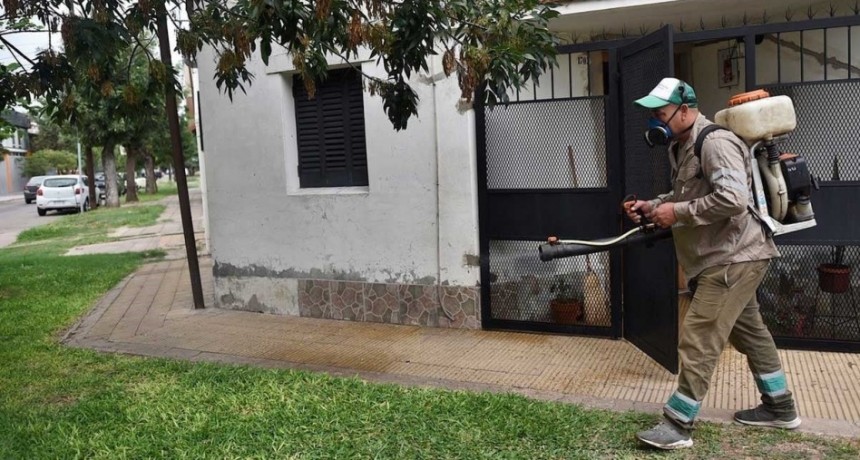 Clima, urbanizaci&oacute;n y movilidad: tres condiciones que favorecen la expansi&oacute;n del dengue en la regi&oacute;n