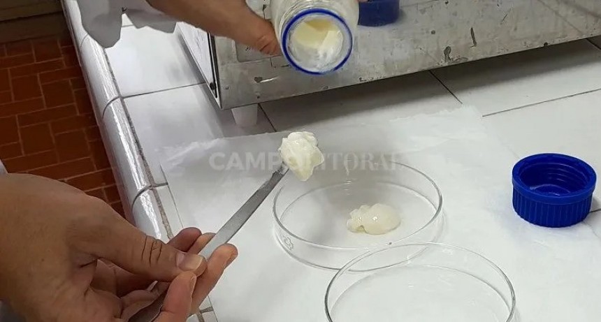 Geles de leche: un nuevo producto l&aacute;cteo fortificado con calcio 