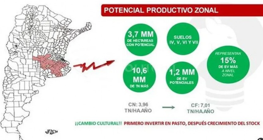 La oportunidad del pasto