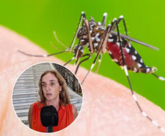 Dengue: ¿Cuál es la situación epidemiológica en la Provincia de Santa Fe?