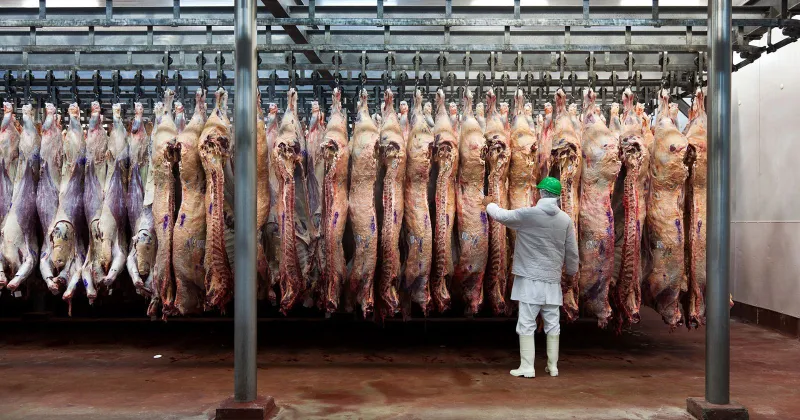  Aumentaron las exportaciones de carne, pero cayeron los ingresos