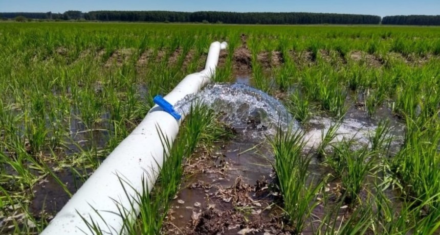 Los nuevos paradigmas del campo: 