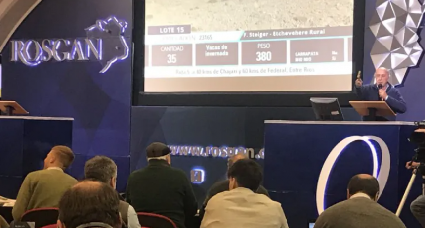 LA GANADERÍA SE ADAPTA A LA MACRO: LA COMPULSIÓN DIÓ PASO A LA RAZÓN