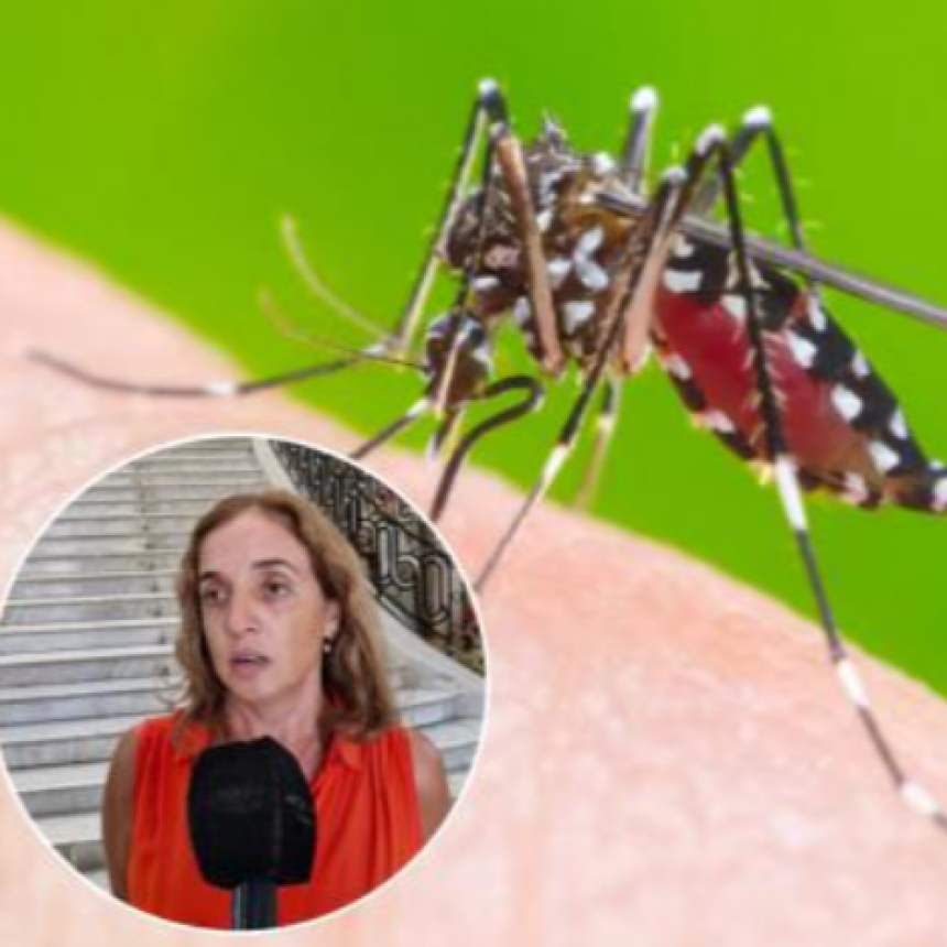 Dengue: ¿Cuál es la situación epidemiológica en la Provincia de Santa Fe?
