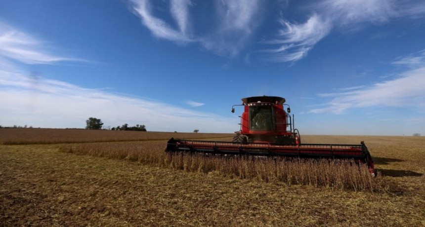La cosecha de soja de primera, avanza a ritmo intenso en el centro norte santafesino
