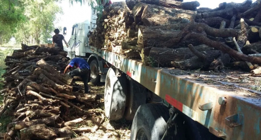 Medio ambiente: reclaman una implementación más flexible de la Ley de Bosques en el norte de Santa Fe