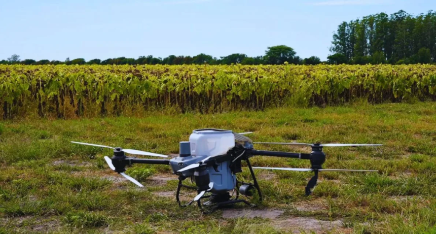 Con drones, el INTA Reconquista logra reducir m&aacute;s de 50% el uso de nitr&oacute;geno en girasol