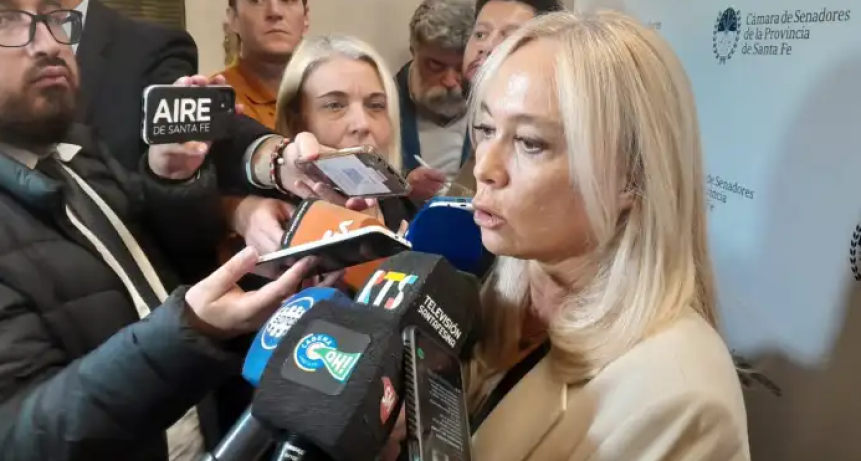 Vranicich alert&oacute; sobre la violencia adolescente y pidi&oacute; debatir el acceso de menores a redes sociales