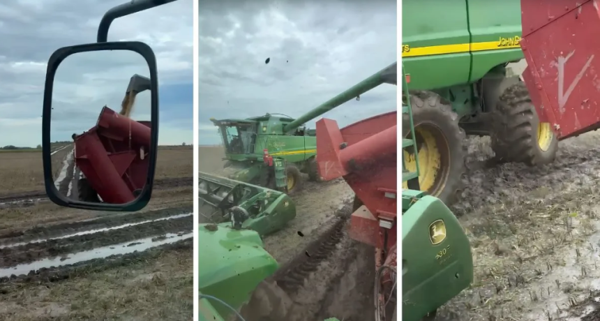 Cosecha en el barro: el suelo puede esperar, lo importante es levantar la soja a tiempo