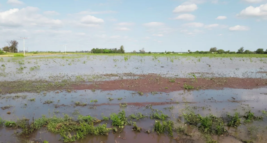 El Gobierno declar&oacute; la emergencia agropecuaria en el norte de Santa Fe y anunci&oacute; cr&eacute;ditos para productores