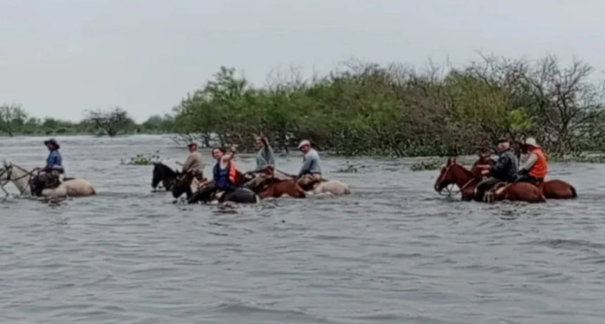 Fort&iacute;n Olmos: gauchos rescatan hacienda a caballo mientras la inundaci&oacute;n golpea al norte