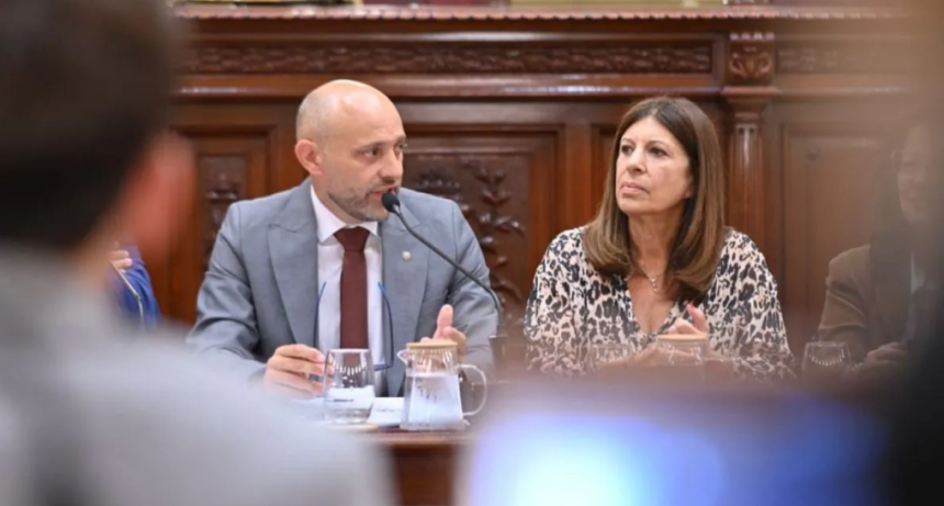 Gustavo Puccini detall&oacute; a legisladores las gestiones por la concesi&oacute;n de la hidrov&iacute;a, puso foco en Rosario y adelant&oacute; el nuevo Puerto de Villa Ocampo