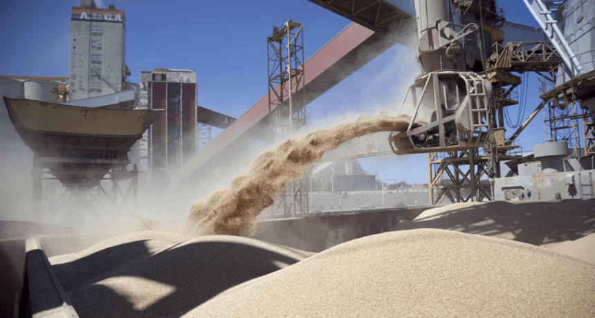 Alerta agroexportadora: Europa detect&oacute; harina de soja argentina con el gen HB4 y podr&iacute;a frenar embarques
