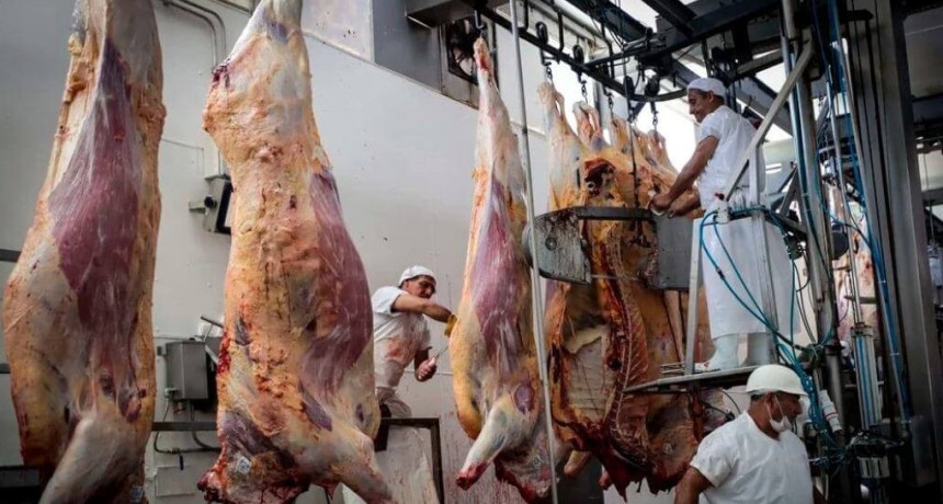 El precio de la carne vacuna: los frigor&iacute;ficos conf&iacute;an en que &ldquo;dejar&aacute; de ser noticia&rdquo; en mayo