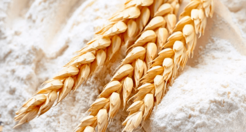 La paradoja de la supercosecha: los molinos dicen que no consiguen trigo y se declaran en alerta