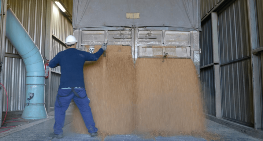 Ventas frenadas, pero empuje exportador: las dos caras de la soja en el inicio de una nueva campa&ntilde;a comercial