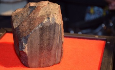 Casilda recuperó un meteorito de más de 2.500 millones años