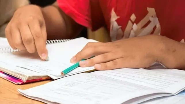 La mitad de los alumnos santafesinos de sexto grado reprueban Lengua: las posibles soluciones