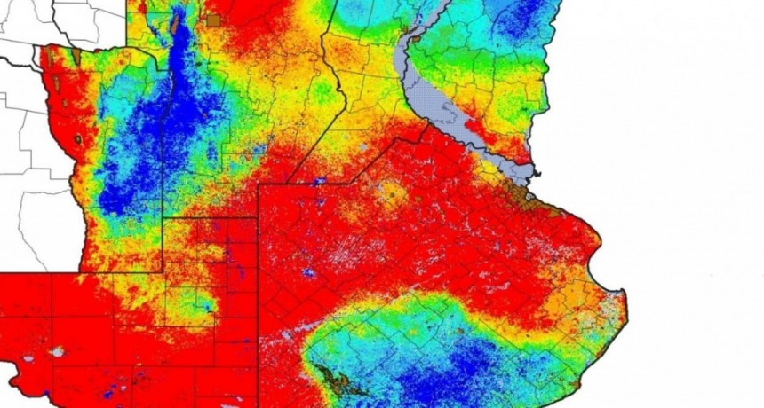 Desesperante: en abril llovió 70% menos y mayo debiera duplicar la media para recomponer perfiles antes del trigo