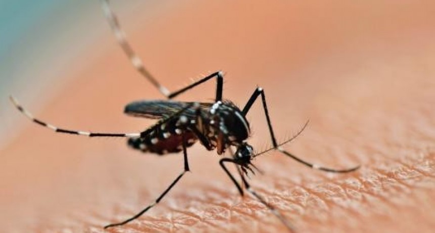 Los casos de dengue siguen creciendo en la provincia pero a menor ritmo