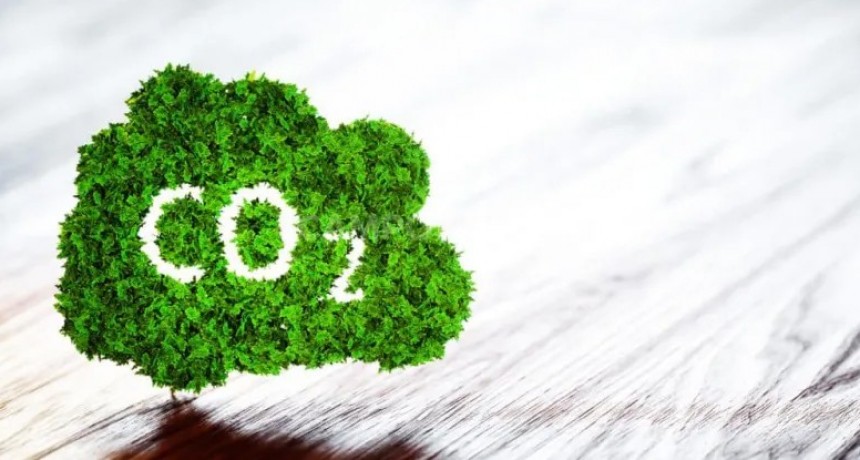 ¿Qué sabe el campo de los bonos de carbono?