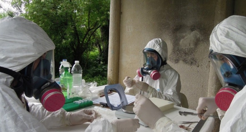 &ldquo;Supercontagiadores&rdquo;: dime qui&eacute;n te infect&oacute; y te dir&eacute; cu&aacute;n contagioso eres