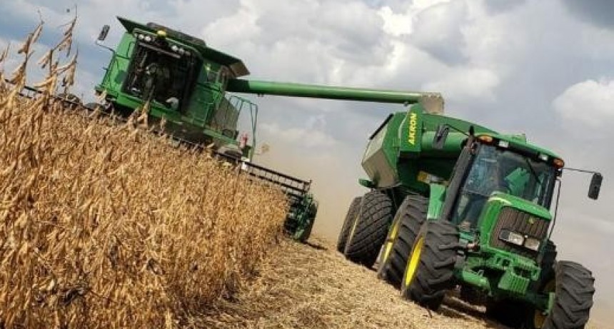La secretaría de Agricultura estableció pautas para acceder al dólar agro