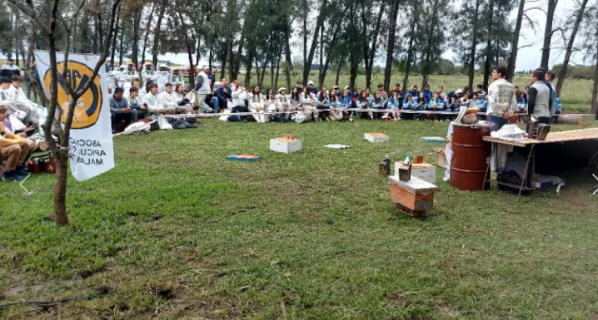 LA SEMANA DE LA MIEL TIENE QUIEN LA CELEBRE EN MALABRIGO