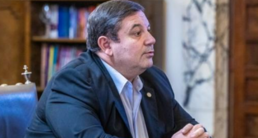 Mammarella espera que el anuncio de Adorni de aumento presupuestario 