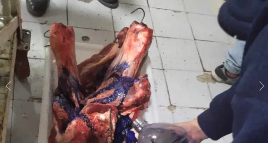 OPERATIVO CONJUNTO DE LOS PUMAS Y ASSAL: 300 KILOS DE CARNE DECOMISADOS EN CARNICERÍAS DEL OESTE SANTAFESINO