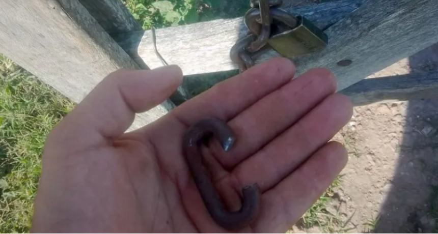 LA RURAL DE RAFAELA ACOMPAÑA A PRODUCTORES VÍCTIMAS DEL DELITO EN UNA CONFERENCIA DE PRENSA