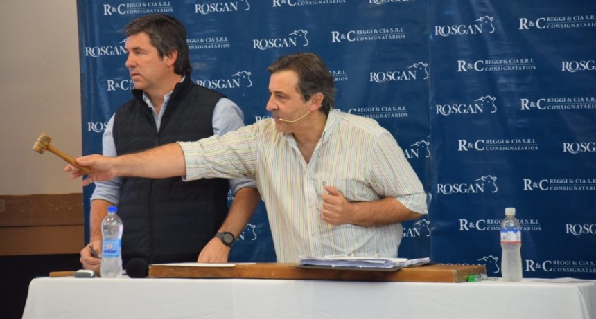 Con 17.160 animales, Rosgan apuesta a Las Nacionales de Corrientes