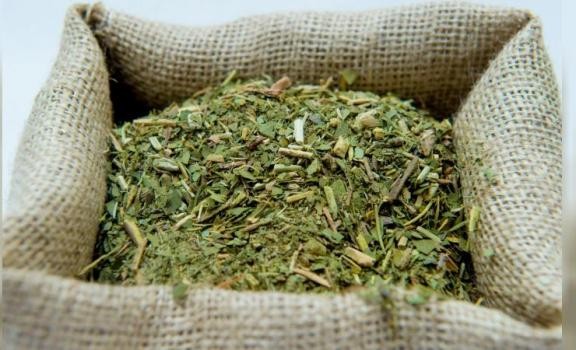 La cosecha de yerba mate cayó más del 30% en el primer trimestre del año