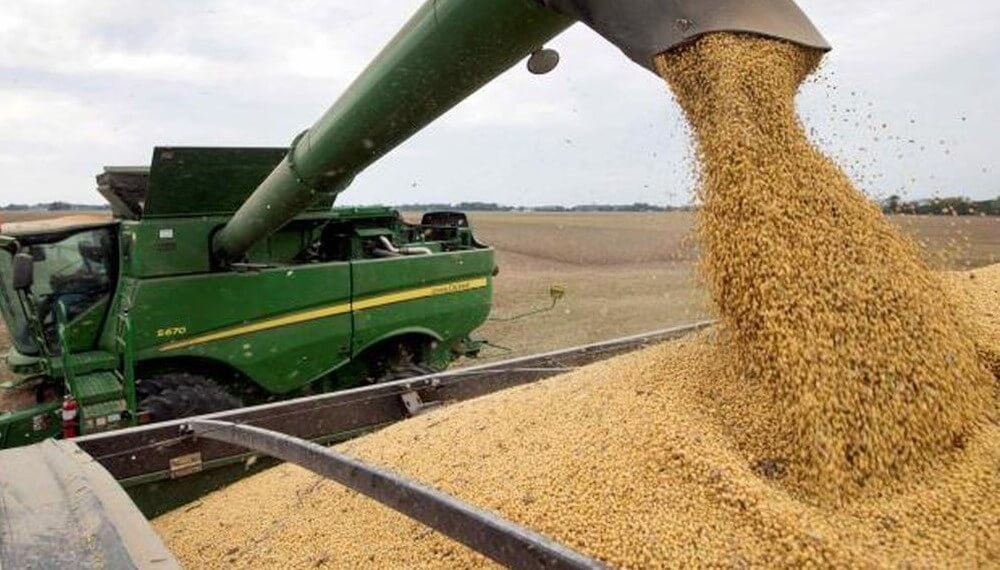 La noticia que esperaba el Gobierno: se activaron con fuerza las ventas de soja