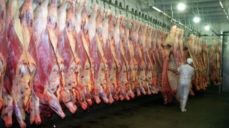 Tras 24 años de prohibición, el Gobierno permitió el ingreso de carne con hueso a la Patagonia