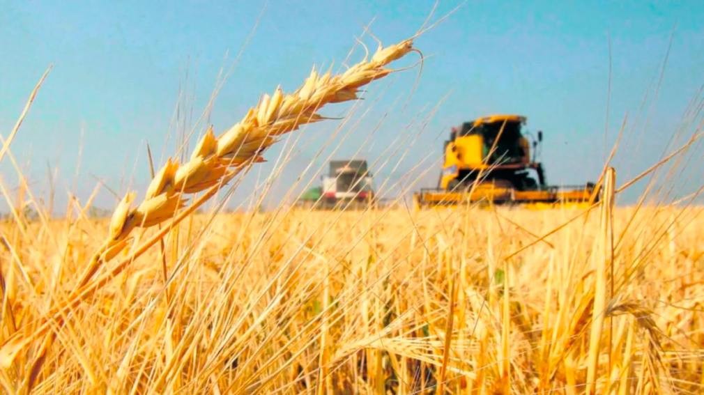 El Gobierno extendió la baja de retenciones para trigo y cebada, pero deja afuera a la soja y el maíz