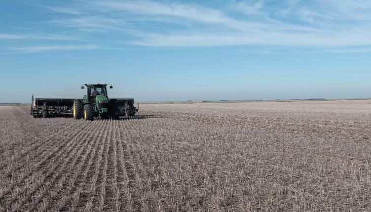 Comenzó la siembra de trigo: desde el Gobierno, proyectan un aumento del 6,2%