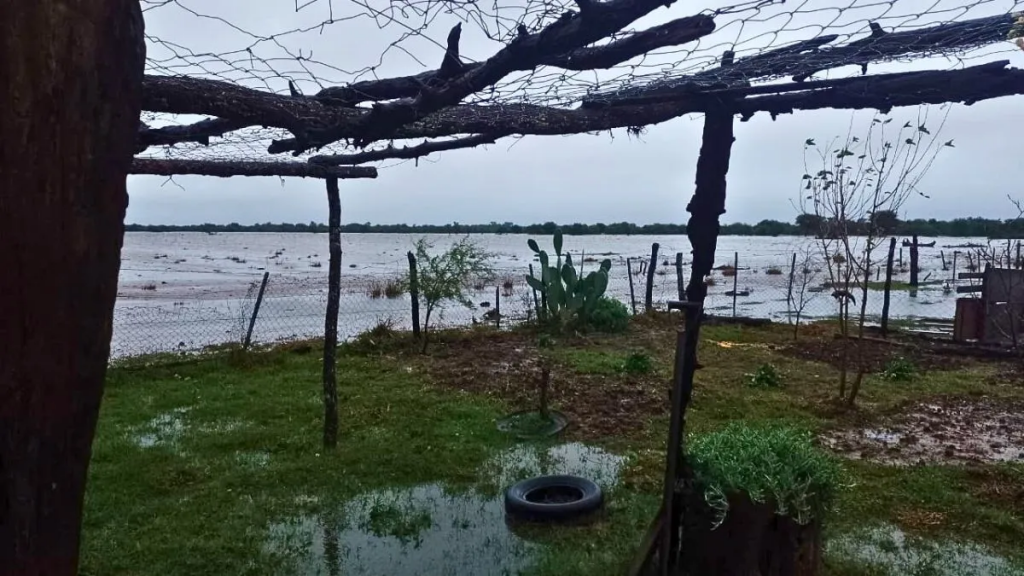 Temporal en el norte de Santa Fe: lluvias extremas y efectos dispares en el campo