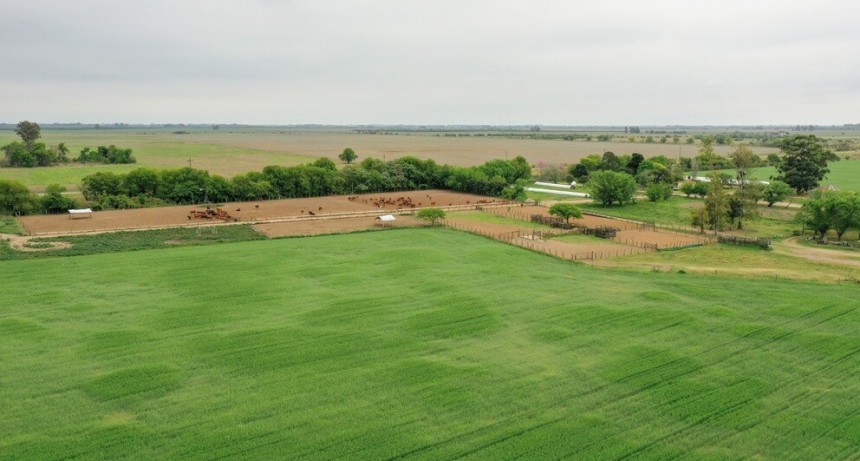 Mercado inmobiliario rural: “Todo indica que los activos, incluida la tierra, van a mejorar su valor”