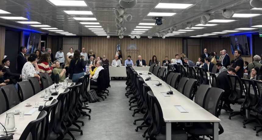 En Diputados comenzó el debate para el fin de las retenciones por ley: anticipan que será de “largo aliento”