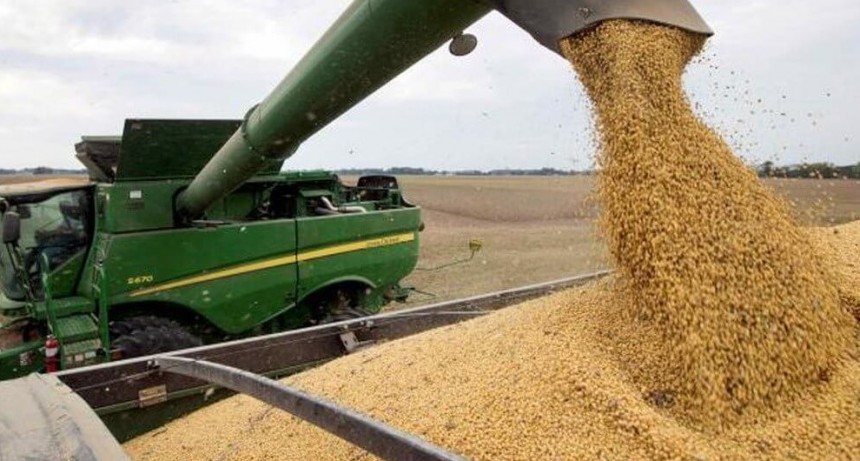 La noticia que esperaba el Gobierno: se activaron con fuerza las ventas de soja