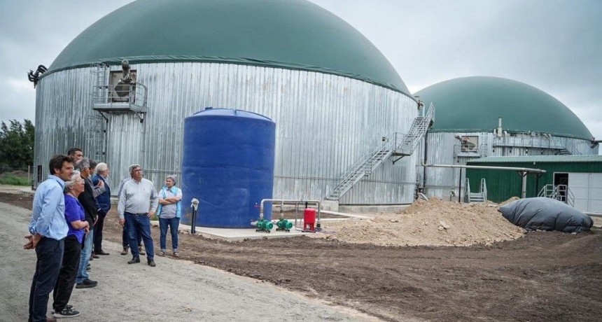 En Coronel Brandsen, los huevos ya generan energía y también pueden alimentar a los cultivos