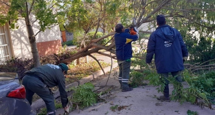 El saldo de la tormenta de viento en la ciudad de Santa Fe