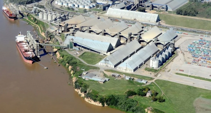 Liquidación de divisas: el agro aportará US$ 31.633 millones en 2025