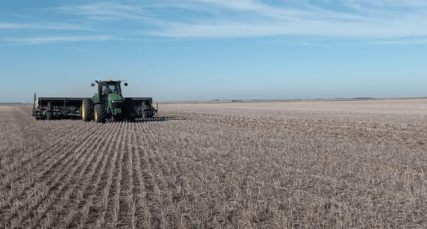 Comenzó la siembra de trigo: desde el Gobierno, proyectan un aumento del 6,2%